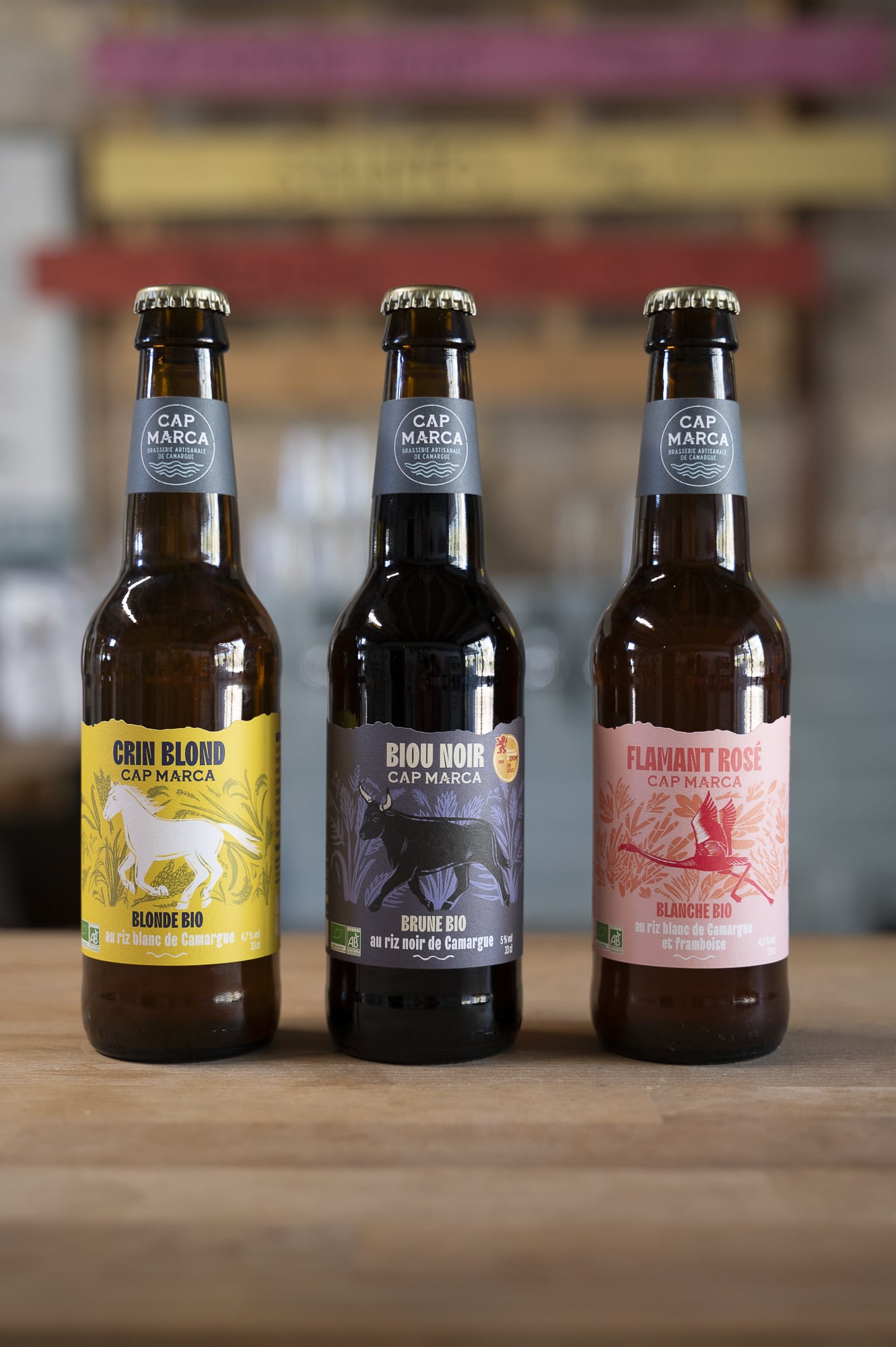 Logo Ludimuse, association culturelle musical